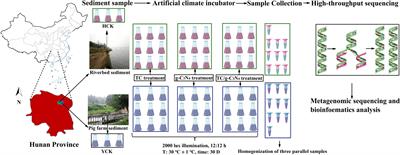 Effects of g-C3N4 on bacterial community and tetracycline resistance genes in two typical sediments in tetracycline pollution remediation